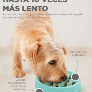 Plato Outward Hound Comedero Lento "S" Menta