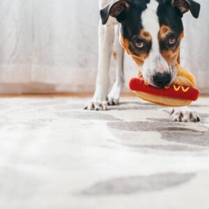 Peluche American Classic Hot Diggy Dog