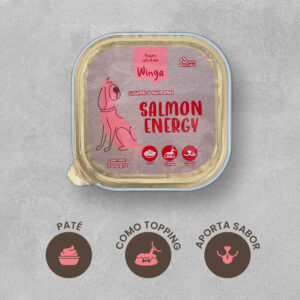 Paté Winga Salmón Energy