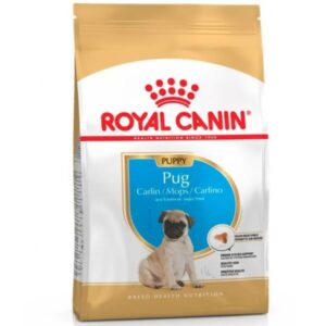 Alimento Seco Royal Canin Pug Junior 2,5 kg.