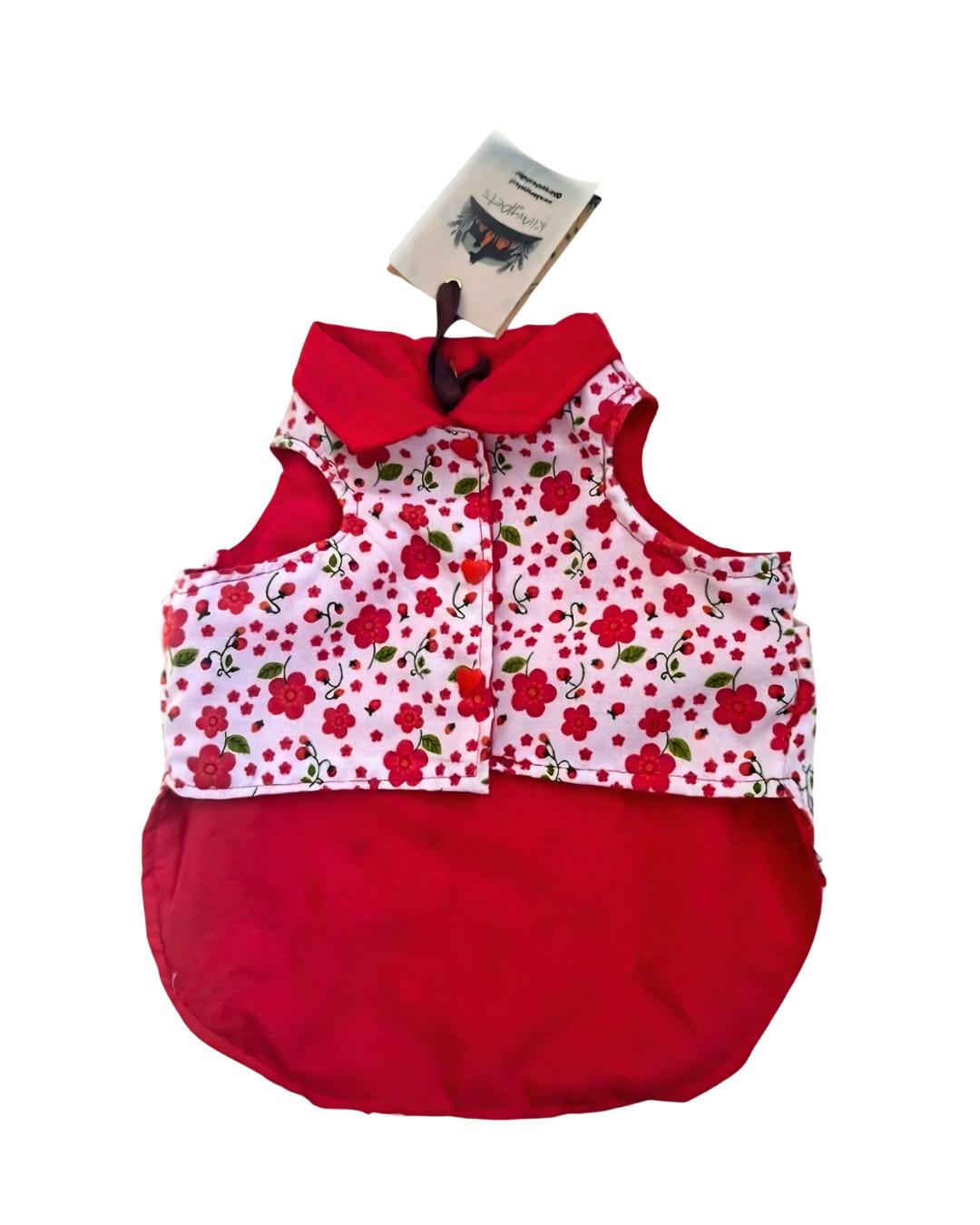 CHAQUETA POPELINA CON FORRO S-M - Imagen 2