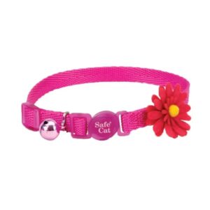 Collar Antiahorque Coastal Collar Flower Pink